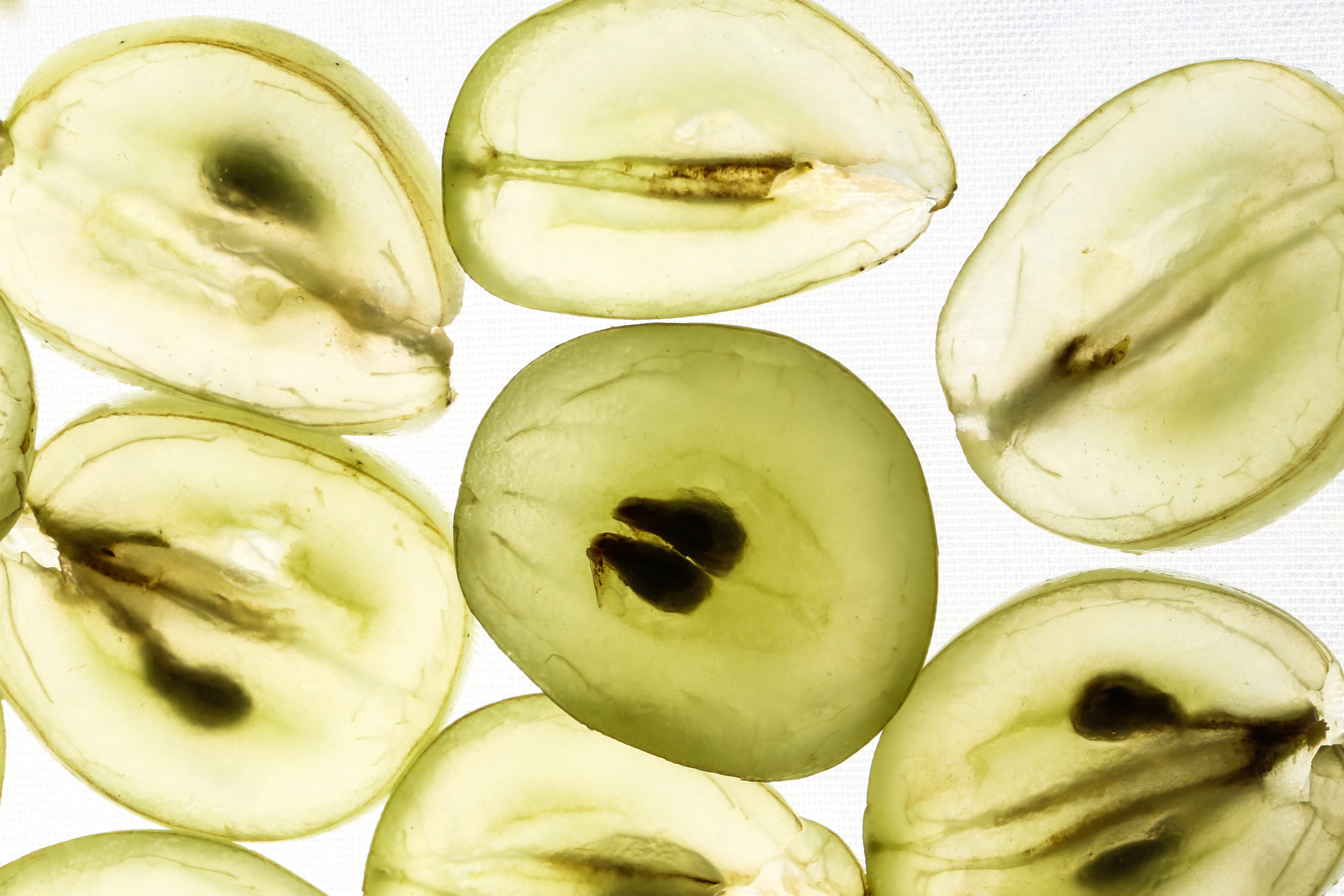 Traubenkernextrakt: Die Antioxidantien OPC und Trans-Resveratrol