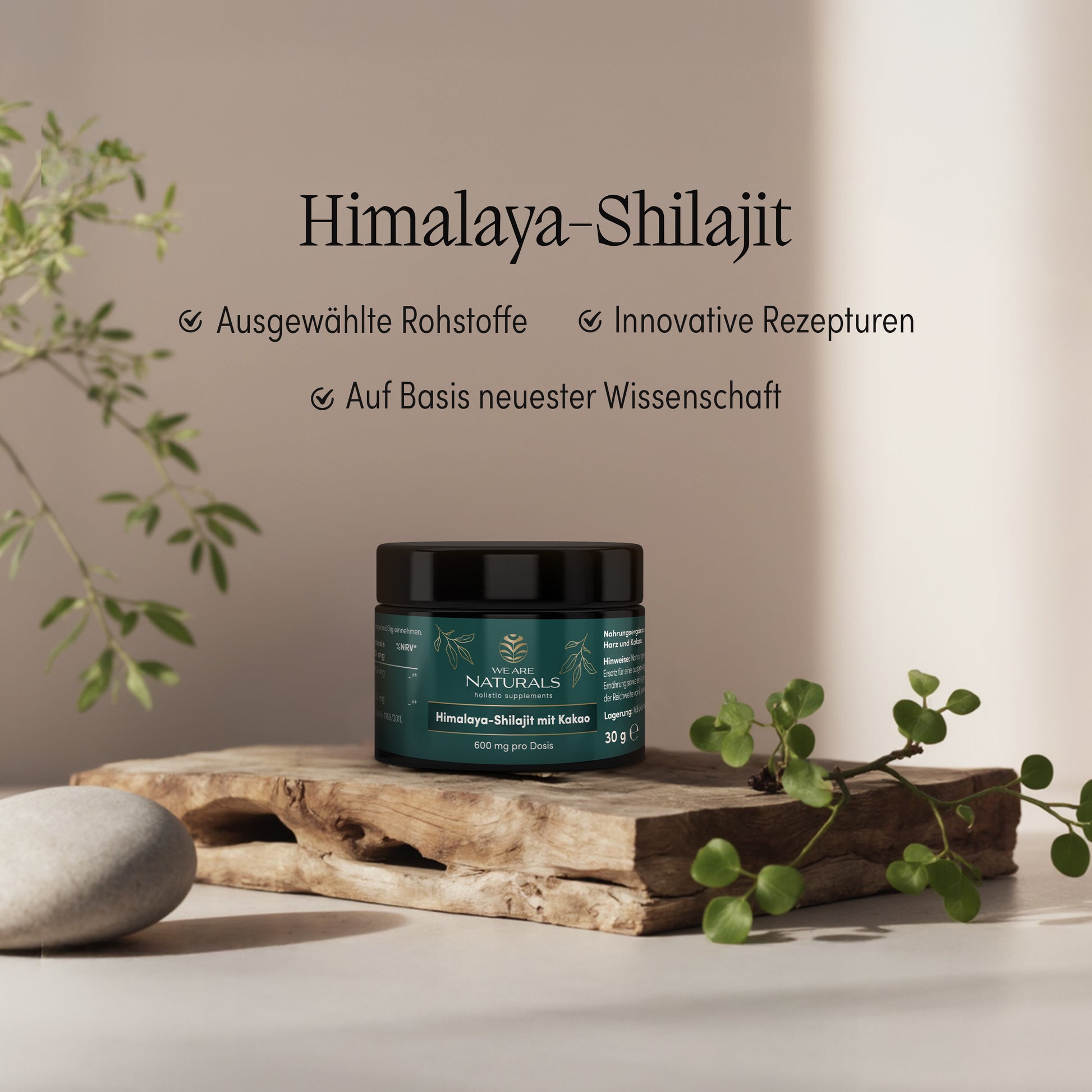 We Are Naturals Himalaya-Shilajit – hochwertiges Naturharz mit Kakao, traditionell verarbeitet, auf Holzpodest mit Pflanzen