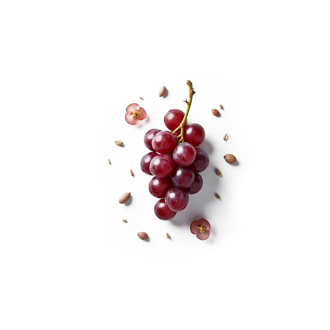 Trauben und Kerne – natürliche Quelle für OPC mit Resveratrol von We Are Naturals