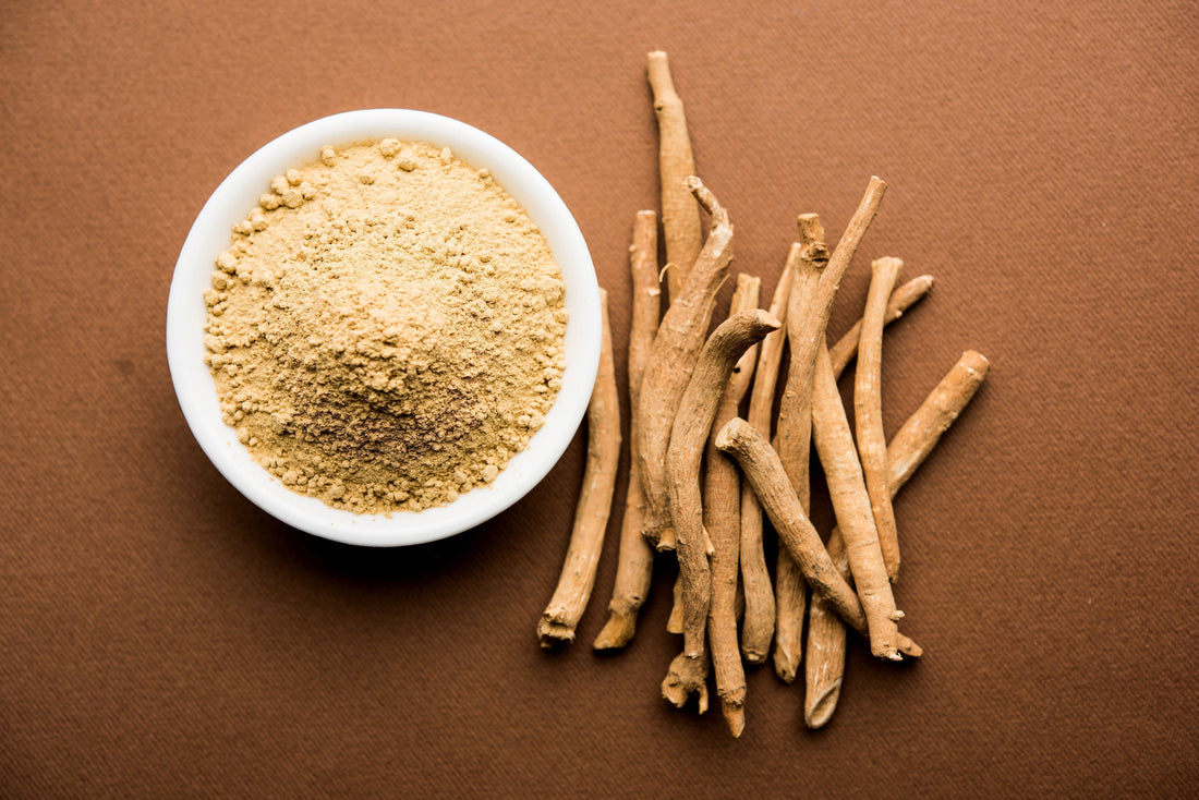Getrocknete Ashwagandha-Wurzel und Ashwagandha-Pulver in Schale – traditionelle Adaptogenpflanze für Stressresistenz, Fokus und Energie