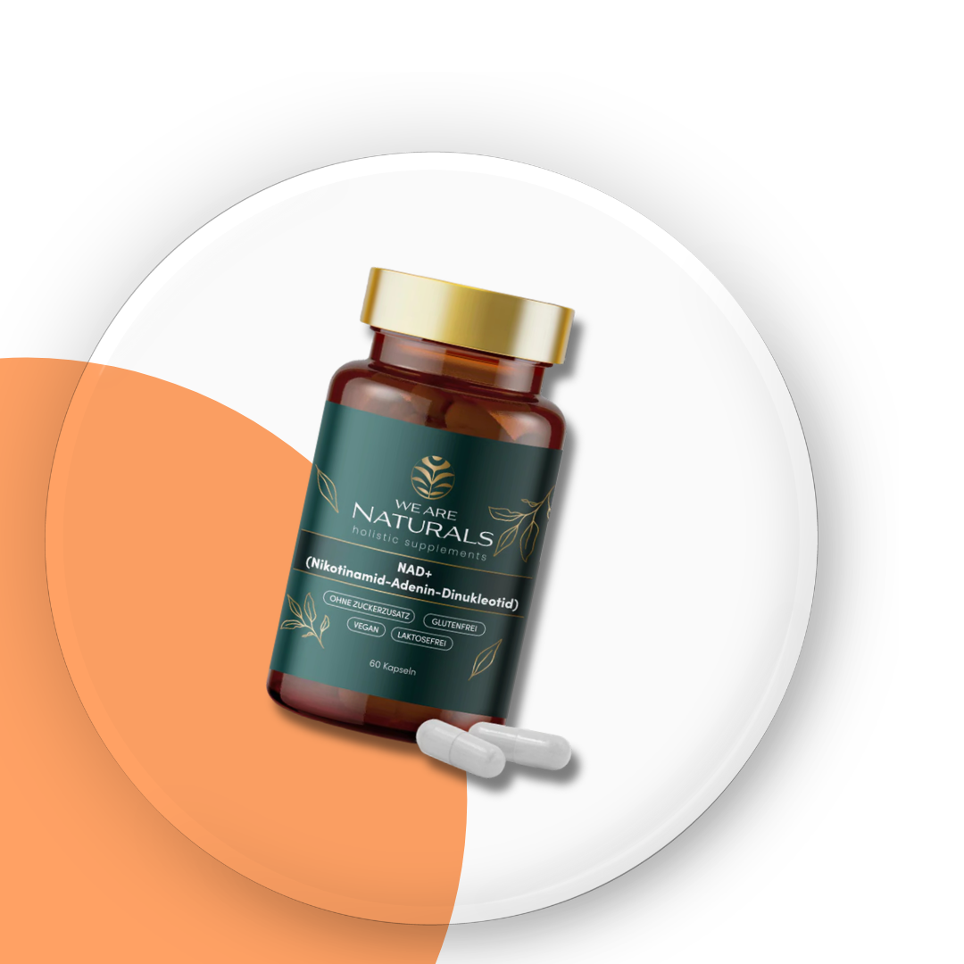NAD + (nicotinamide adenine dinucleotide)