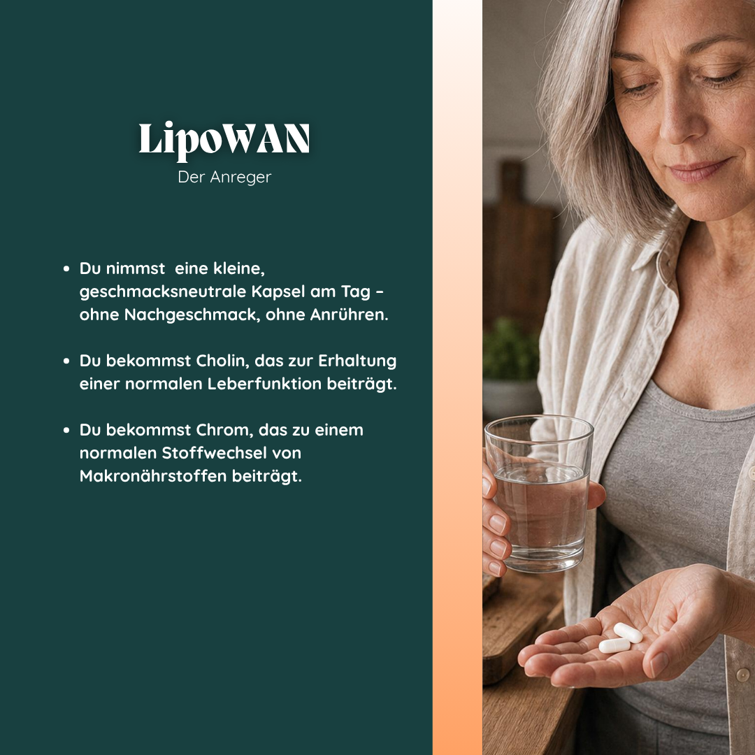 LipoWAN