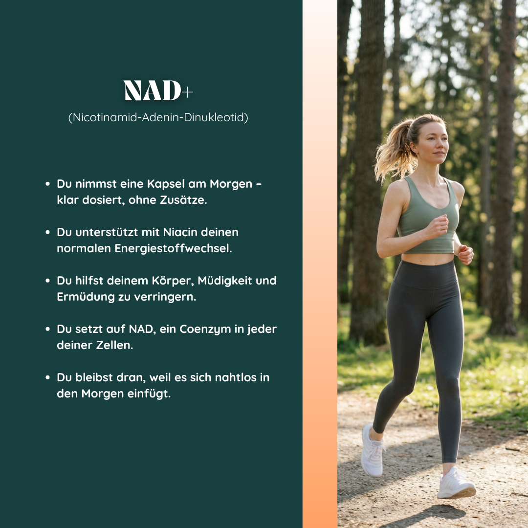 NAD + (nicotinamide adenine dinucleotide)