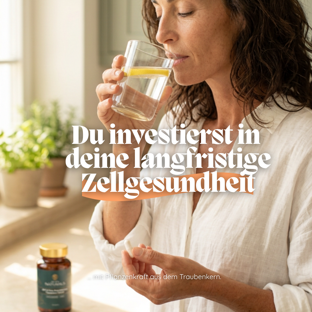 OPC & Trans-Resveratrol aus Traubenkern-Extrakt