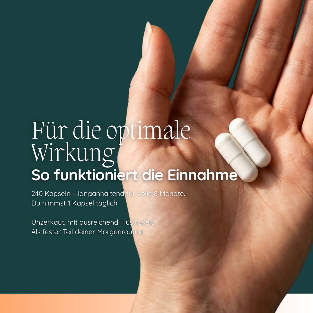 OPC & Trans-Resveratrol aus Traubenkern-Extrakt