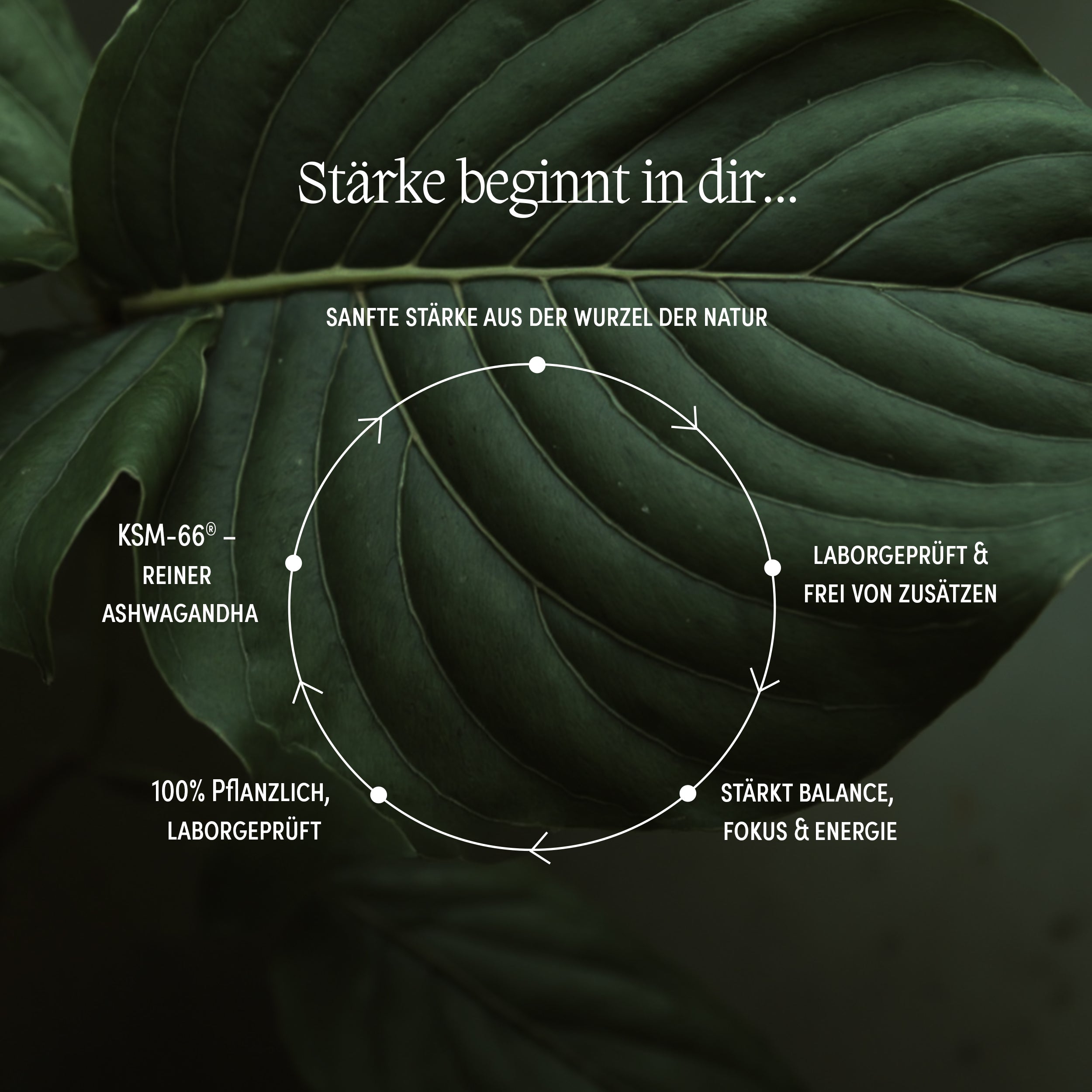 Ashwagandha KSM 66® mit Magnesium und Zink