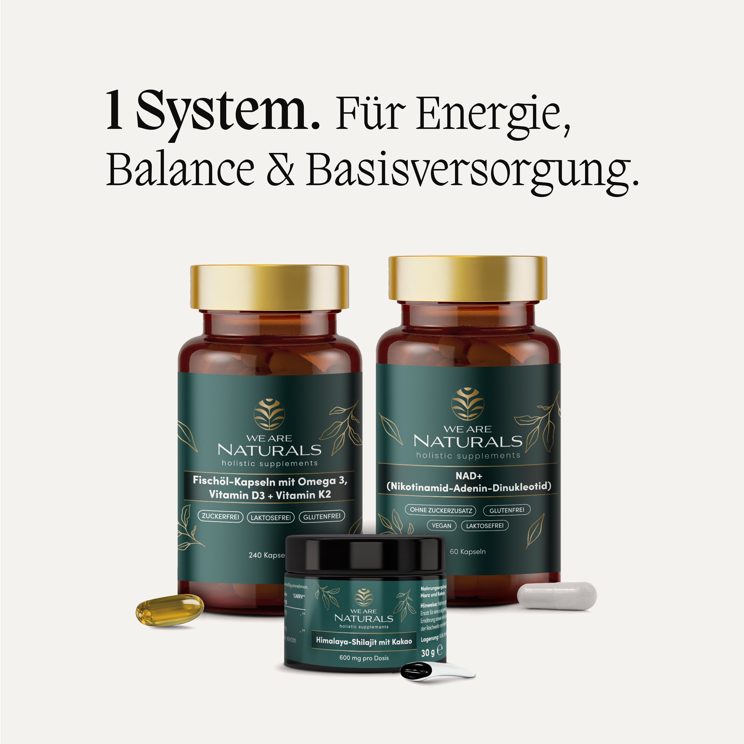 Longevity Bundle