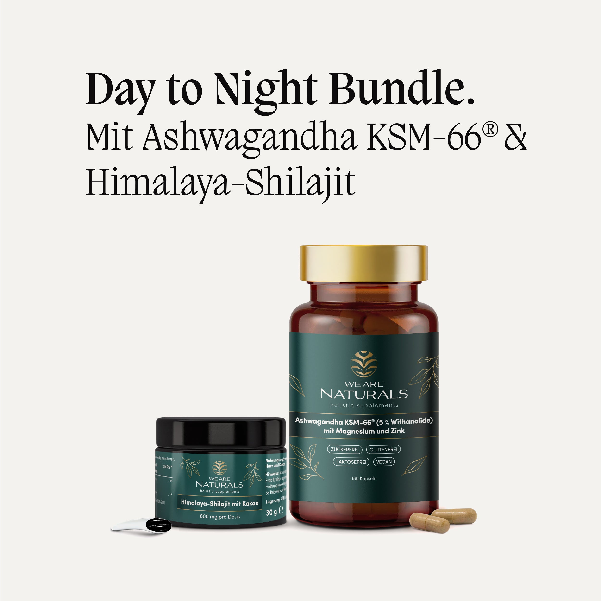 Day To Night Bundle