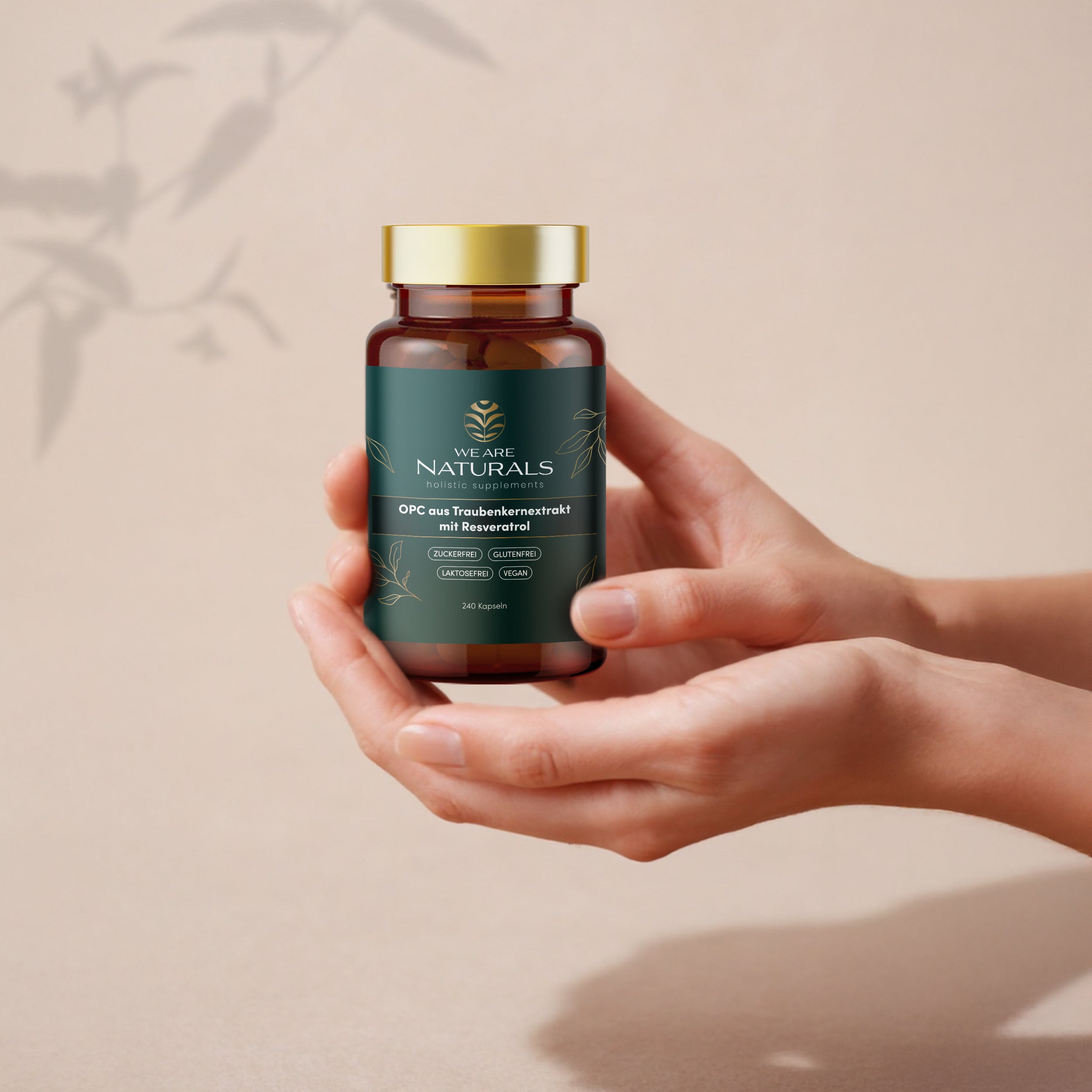 OPC & Trans-Resveratrol aus Traubenkern-Extrakt