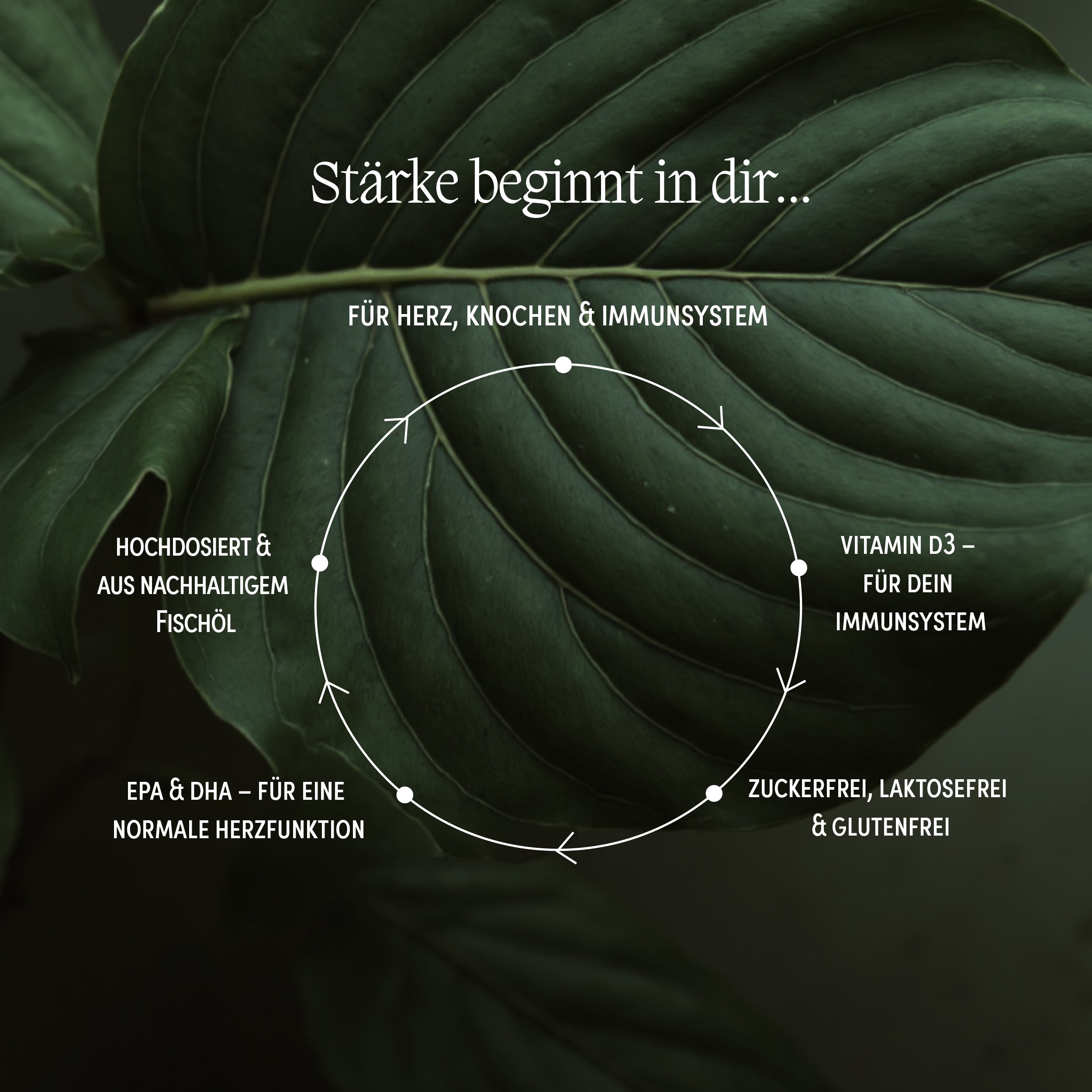 Infografik zur Wirkung der Fischöl-Kapseln von We Are Naturals – mit Omega 3, EPA, DHA, Vitamin D3, nachhaltig gewonnen und frei von Zusatzstoffen
