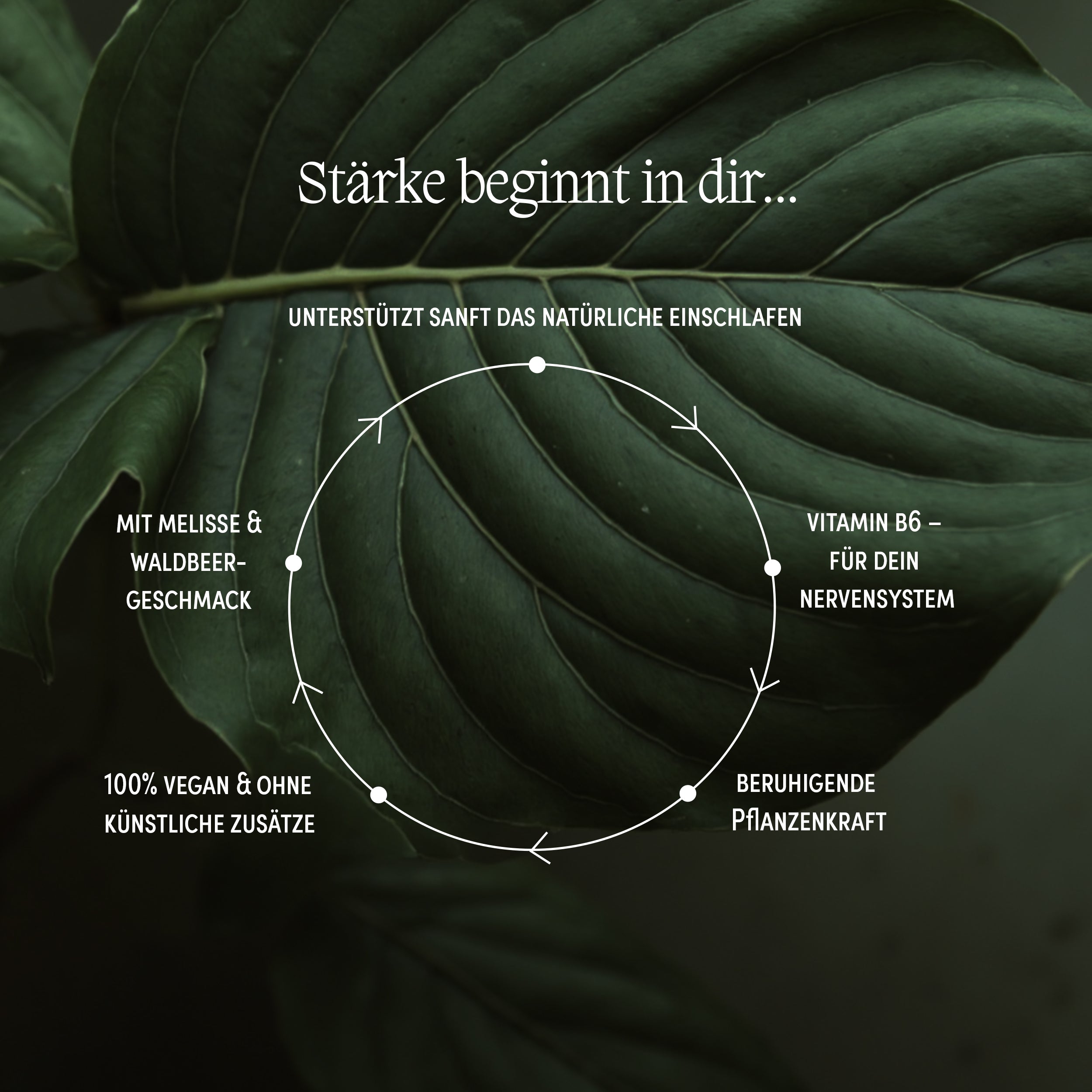 Infografik zur Wirkung der We Are Naturals Schlaf-Gummis – vegan, mit Melatonin, Vitamin B6 und Melisse zur Unterstützung des natürlichen Schlafs