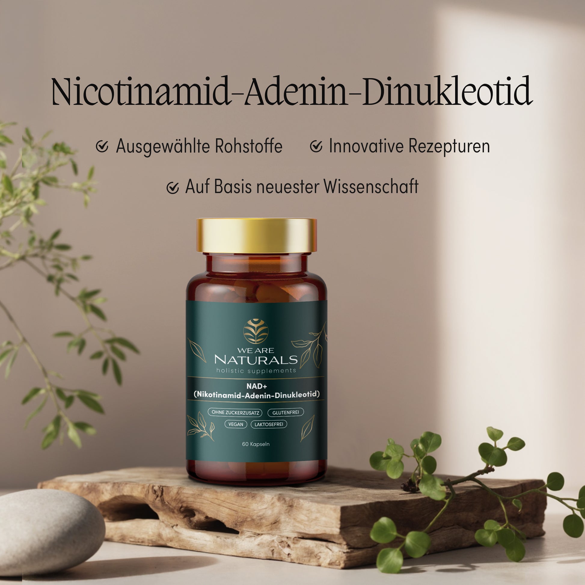 NAD+ von We Are Naturals – hochwertige Zellenergie-Kapseln auf Basis natürlicher Inhaltsstoffe, präsentiert in natürlichem Setting