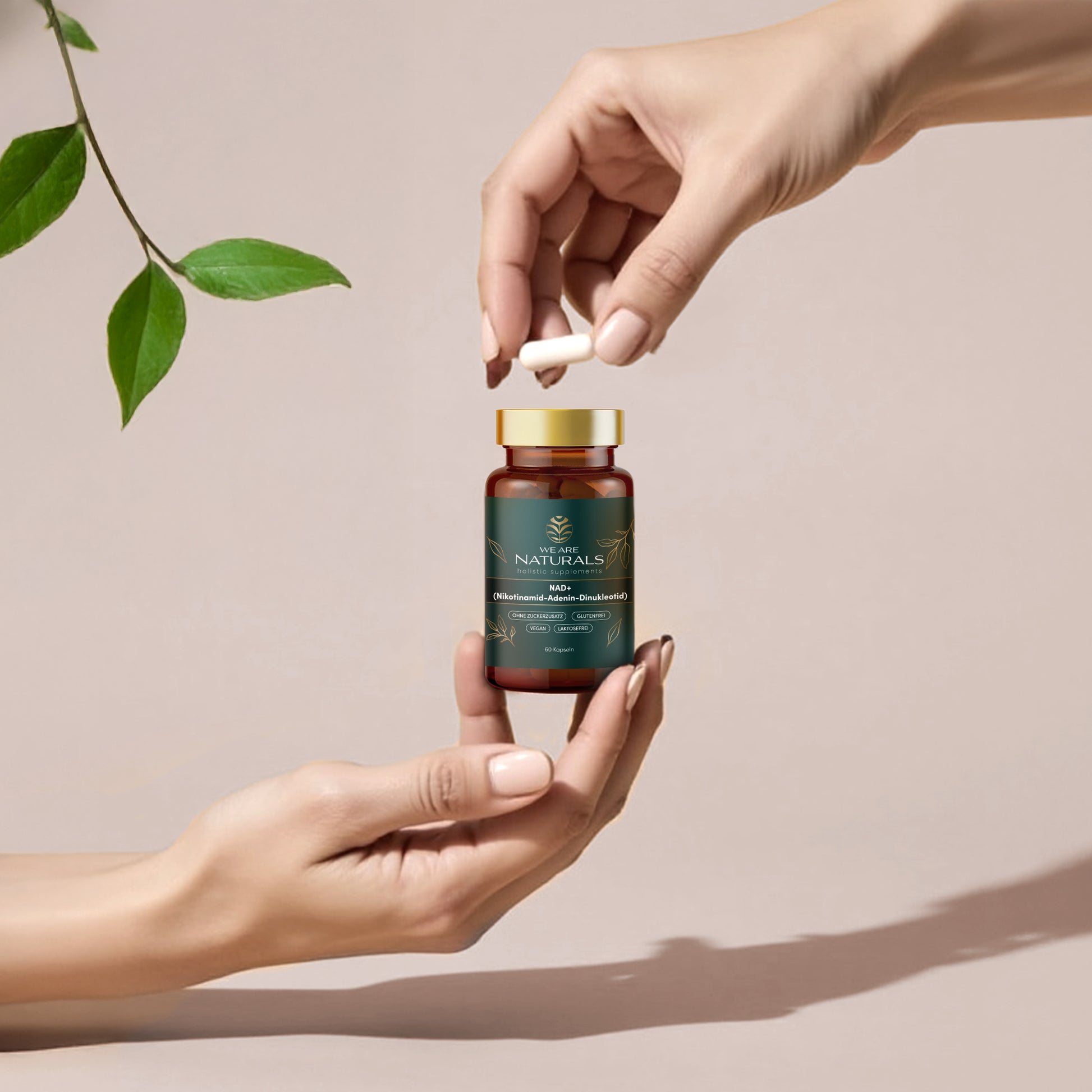 We Are Naturals NAD+ Supplement – Glasdose mit goldfarbenem Deckel wird mit zwei Händen geöffnet, vor hellem Hintergrund mit Pflanzen