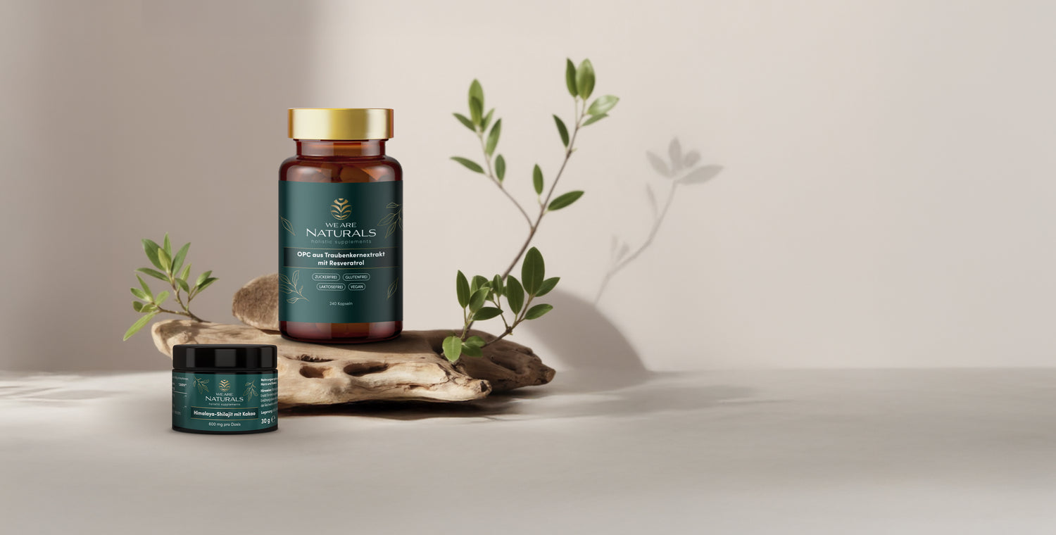 Produktfoto des OPC Traubenkernextrakts mit Resveratrol von We Are Naturals – natürlich inszeniert
