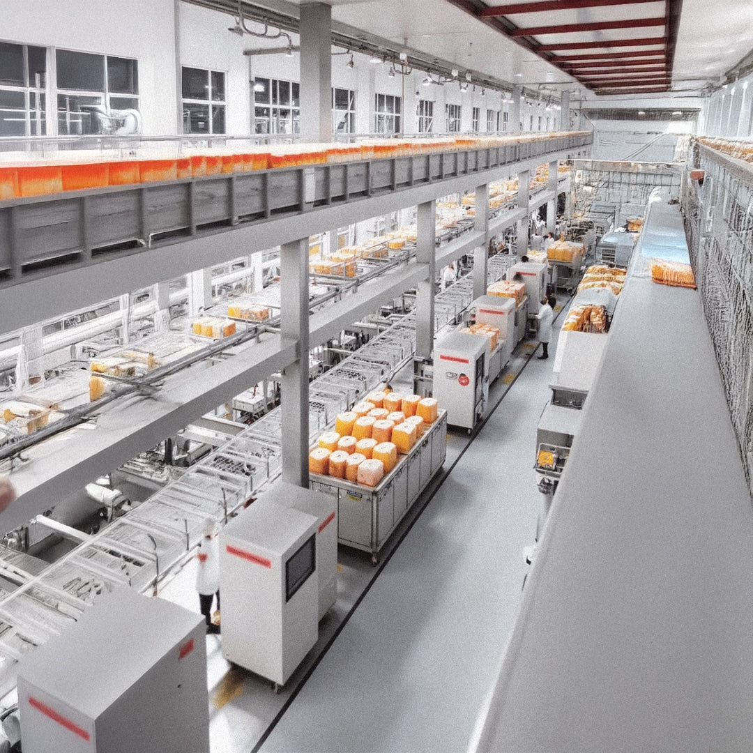 Moderne Produktionsstraße – Qualitätssicherung und Herstellung von Nahrungsergänzungsmitteln