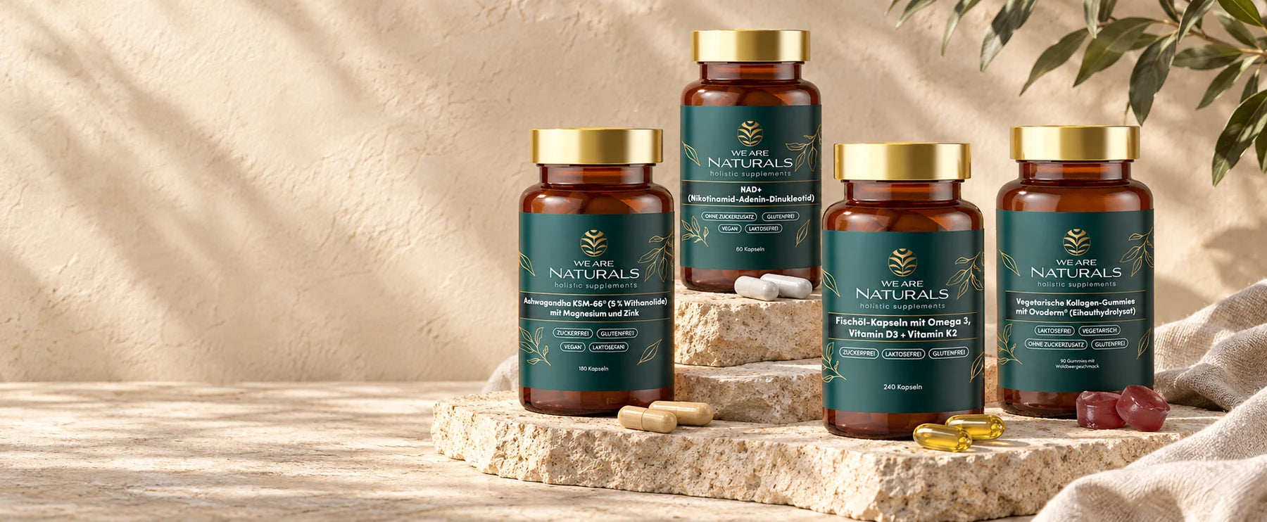 NAD+, Ashwagandha, Omega-3 und Kollagen-Gummies von We Are Naturals auf hellem Kalkstein im Sonnenlicht