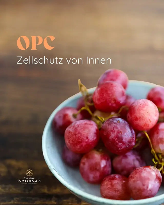 OPC: Zellschutz von innen